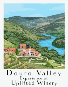 Douro Valley Experience on 9/6/2025 