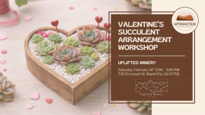 Valentine's Succulent Arrangement Workshop with Uprooted