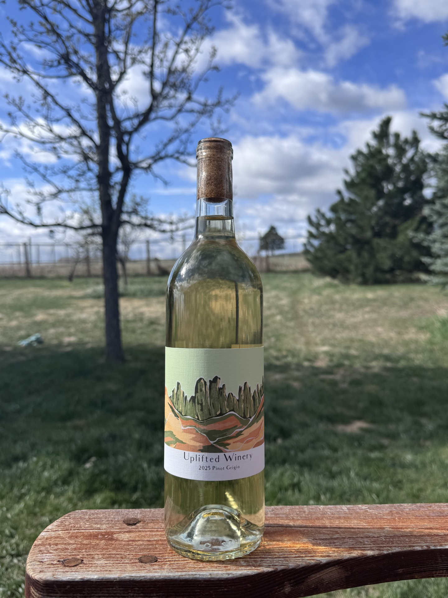 Pinot Grigio Pinot Grigio